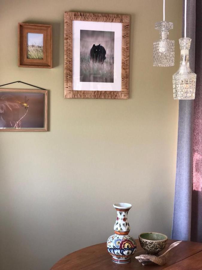 The Cat And The Owl B&B Groenlo Eksteriør bilde